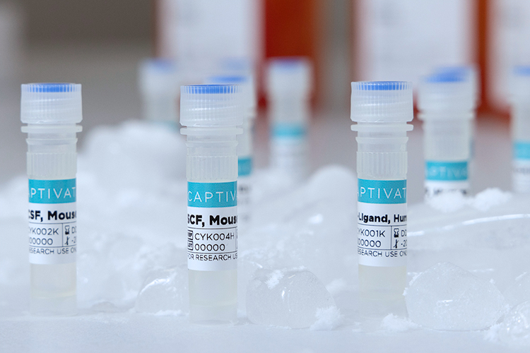 Captivate Bio cytokines and growth factors for cellular research