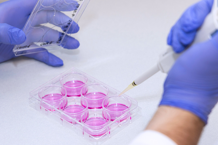 captivate bio stem cell matrices and substrates