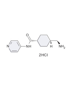 Y27632 (2HCl) Small Molecule