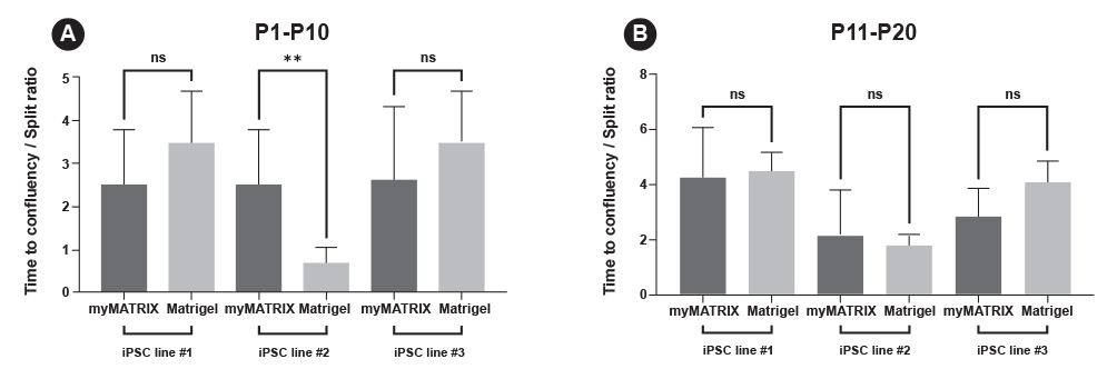 myMATRIX iPSC surfaces
