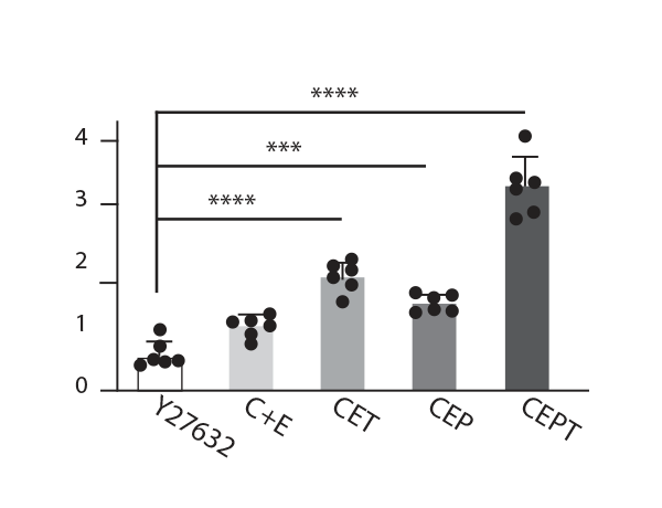 CET Cocktail hPSC survival data