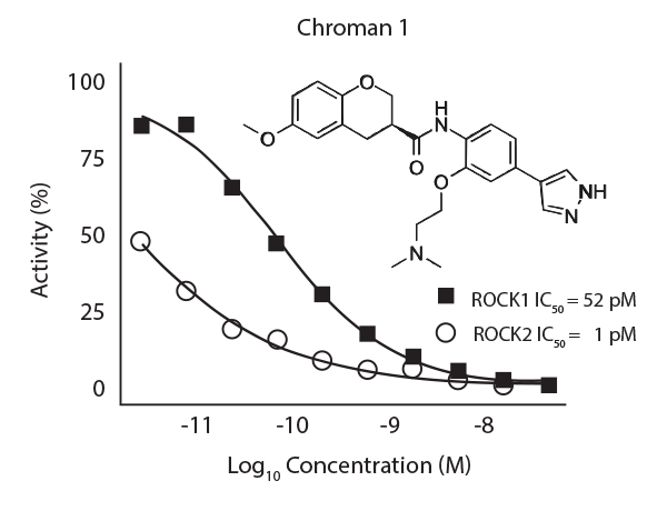 Chroman 1 high potency data