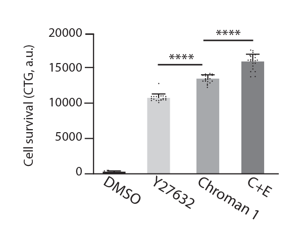 Emricasan small molecule data cept cocktail