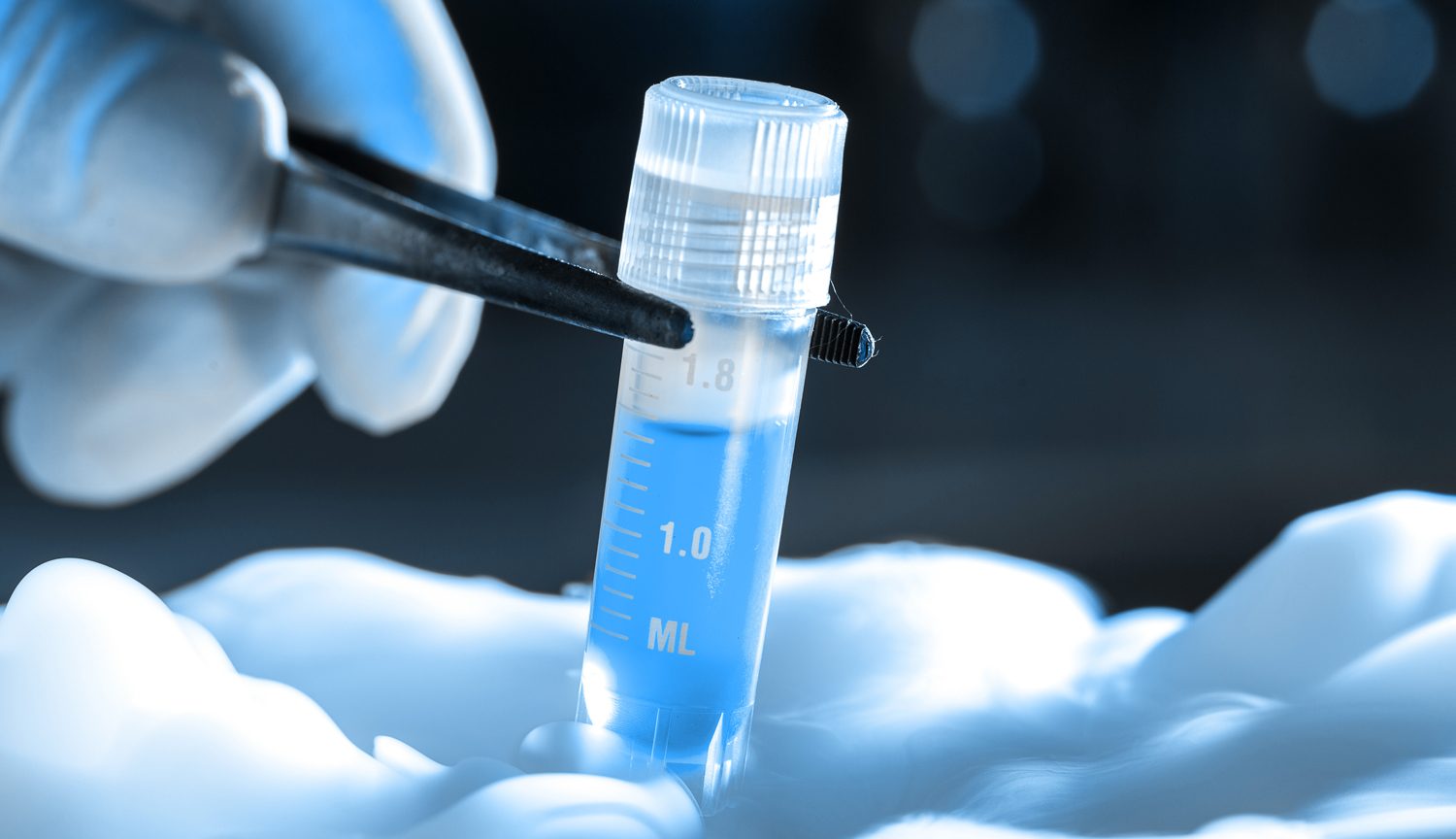 hpsc crypreservation using rock inhibitors