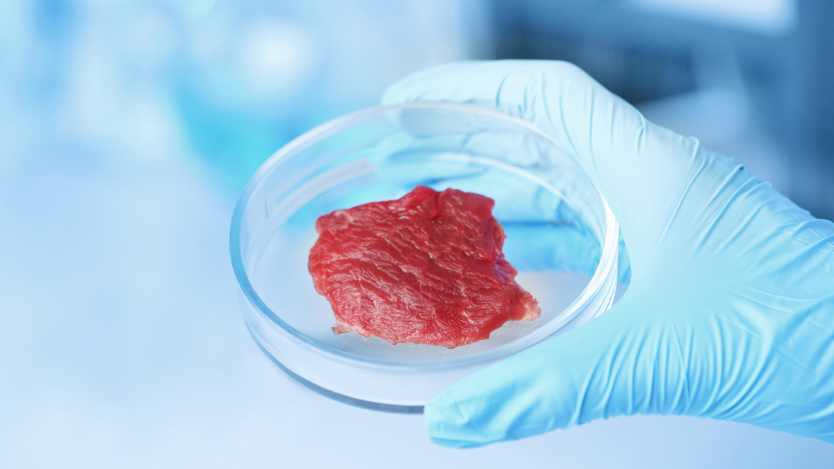 Captivate Bio Clean Meat