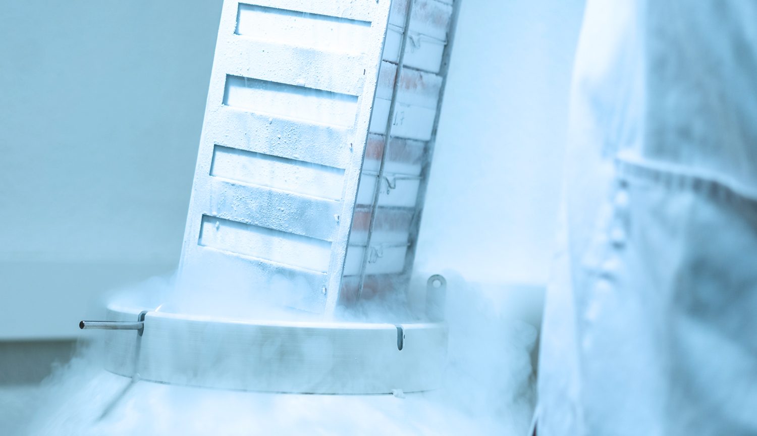 Chroman 1 a superior ROCK inhibitor