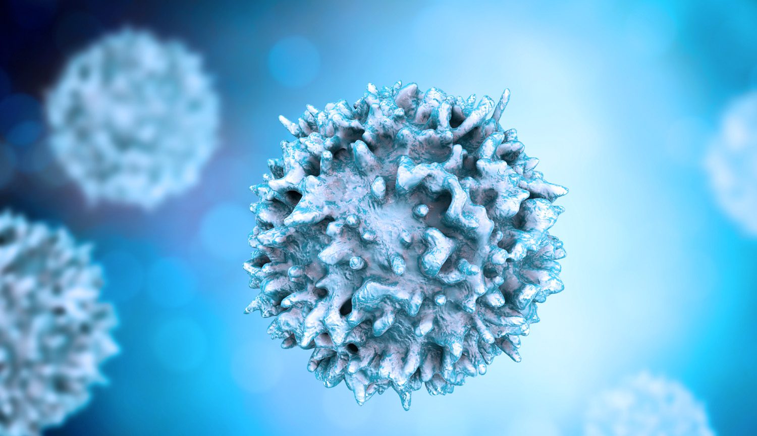 T cells and PLTGold - gold standards