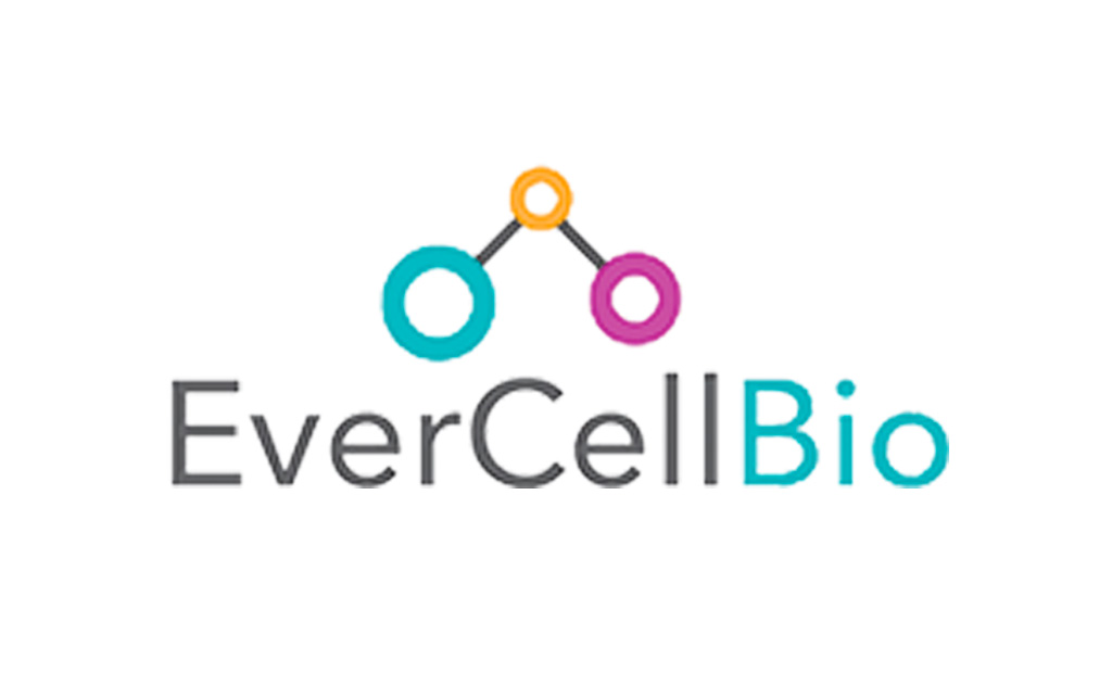 EverCell Bio - hPSC Service and Solutions provider