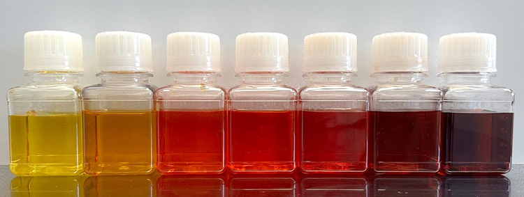 Managing your Cell Cultures - Understanding pH and Temperature