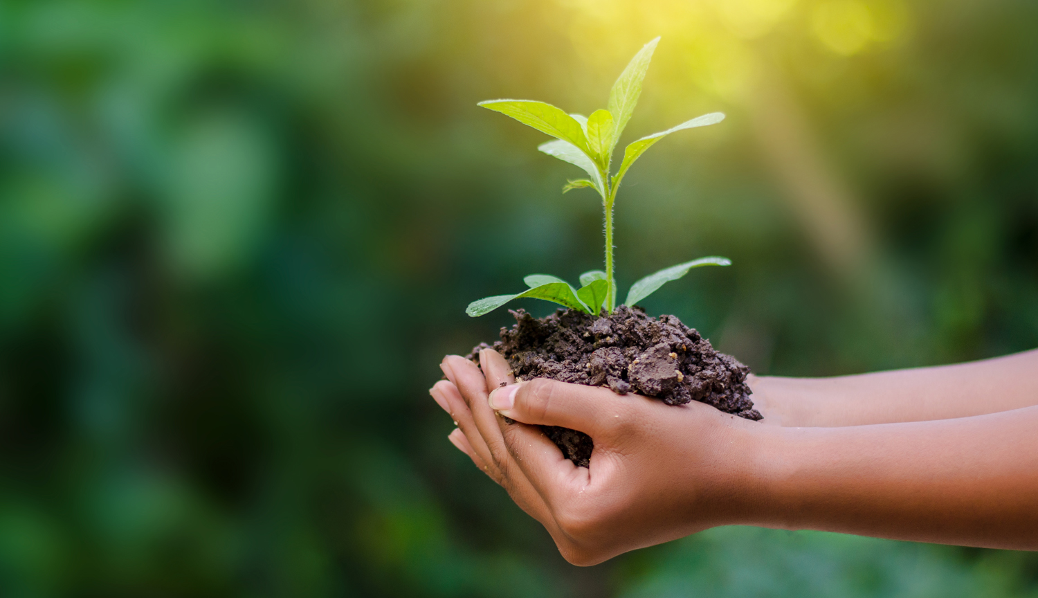 Spring savings, get a free gift card with Captivate Bio lab products