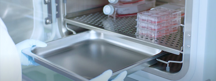 Incubator water bath - CAPTiCLEAN Dissenfectant